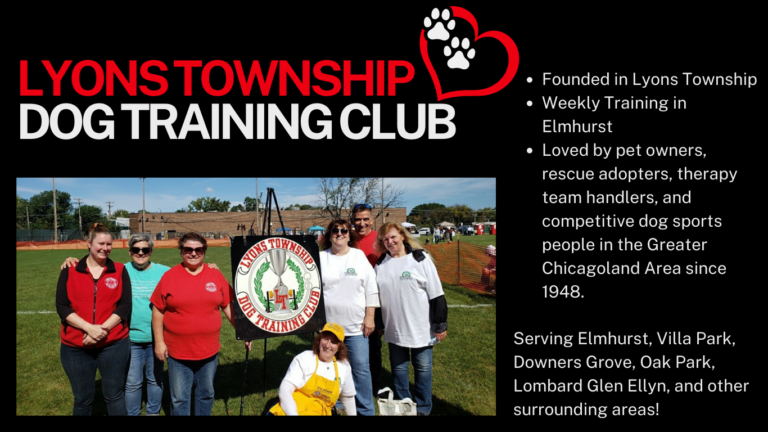 Lyons township hot sale dog training